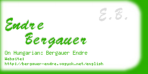 endre bergauer business card